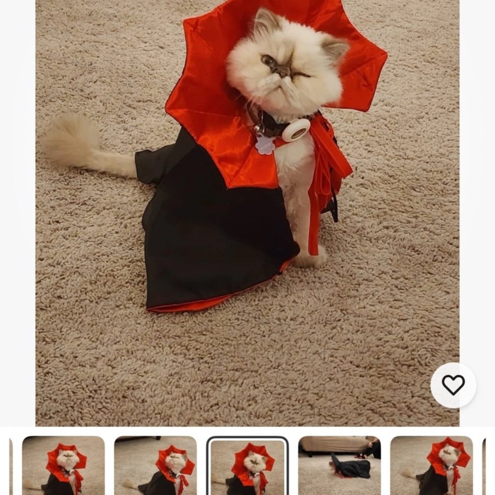 Spooky Vampire Cape Pet Costume - Red & Black Devil Cloak for Small Dogs & Cats